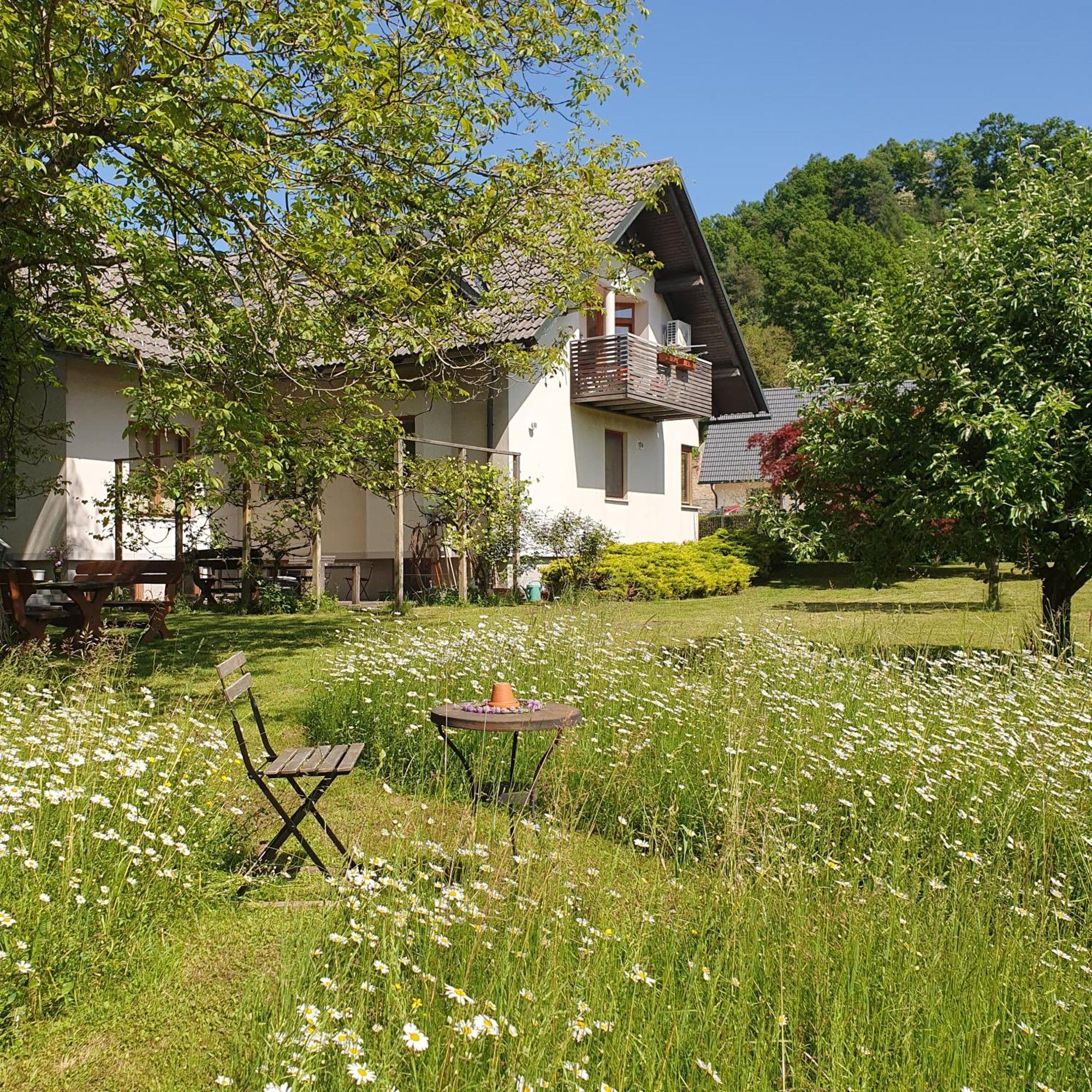 River House Radolca Radovljica Exterior photo